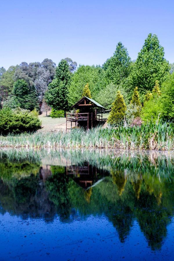 Meadow Lane Country Cottages Underberg Exteriér fotografie